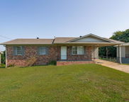 1109 Mountain Drive, Fultondale image