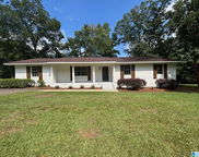105 Campbell Road, Clanton image