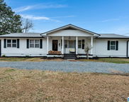 150 Dunn Lane, Blountsville image