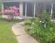 363 Lewis Lake Lane, Pell City image