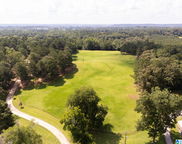350 Oak Trace, West Blocton image
