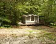 248 Pine Ridge Road, Wedowee image