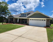 100 Pure Leaf Drive, Westover image