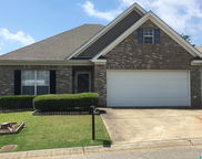 1037 Windsor Parkway, Moody image