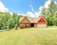633 Woodgate Shores Drive, Wedowee image