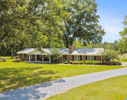 2166 County Road 150, Sylacauga image