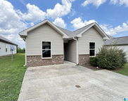559 Kincaid Cove Lane, Odenville image