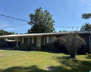 203 Edgewood Street, Clanton image