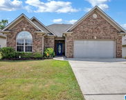 592 Waterford Lane, Calera image