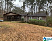 4630 Old Looney Mill Road, Birmingham image