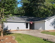 2212 Pup Run Drive, Helena image