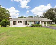 220 Hazelwood Drive, Pell City image