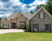 715 Cassie Drive, Pell City image