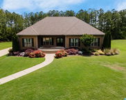 745 Highway 304, Calera image