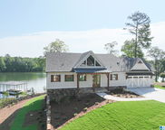 641 New Harmony Drive, Wedowee image