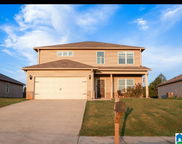 271 Woodland Trail, Pell City image