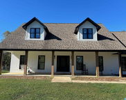 215 Osborne Lake Road, Blountsville image
