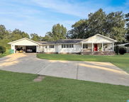 10866 Split Trail Lane, Tuscaloosa image