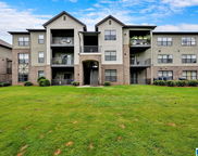 1107 Riverhaven Place Unit 1107, Hoover image