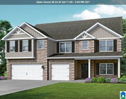 59 Birchwood Lane, Alabaster image