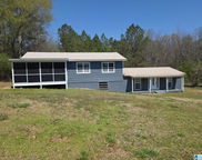 35 County Road 1073, Montevallo image
