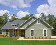 11425 Crimson Village Circle, Brookwood image