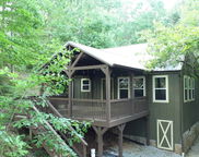 465 Jeans Way, Wedowee image