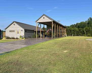 202 County Road 2035, Crane Hill image