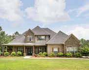 415 Lyles Drive, Odenville image