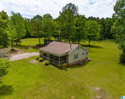 5621 County Road 18, Talladega image