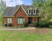 7739 Liles Lane, Trussville image