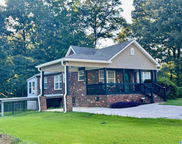 21039 Tammie Drive, Lake View image