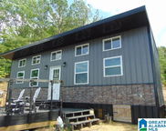 297 County Road 919, Clanton image