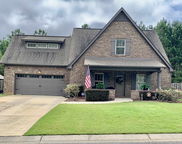 463 Lake Chelsea Way, Chelsea image
