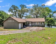5000 Lakeshore Drive, Pell City image