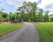 1250 Old Downing Mill Road, Anniston image