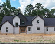 3025 Long Branch Drive, Calera image