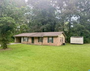 127 Mims Circle, Clanton image