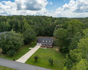 433 Eagle Pointe Drive, Pell City image