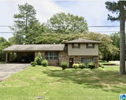 3305 Simmons Road, Jasper image