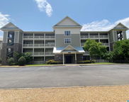 475 River Forest Lane Unit 2440, Talladega image