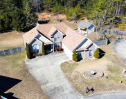 137 Hermitage Lane, Calera image