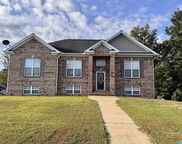 217 Twin Ridge Circle, Lincoln image