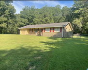 20087 Pleasant Grove Road, Vance image