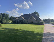 10617 Austin Loop, Vance image