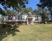 6881 Briarwood Drive, Pinson image
