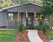 133 Abc Lane, Pell City image