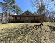330 Sequoyah Road, Pell City image