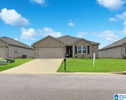 12340 Choctaw Circle, Moundville image