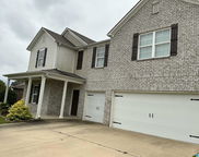 321 Blackberry Boulevard, Springville image